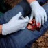 Аппликатор гемостатический с гранулами Rhino Rescue в Смоленске хитозановый